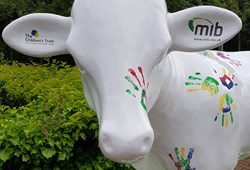 MIB unveil Herd About MK Cow with support of The Children’s Trust in celebration of MK’s 50th Birthday