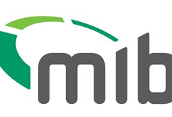 MIB announces new leadership team  in line with growing influence in industry